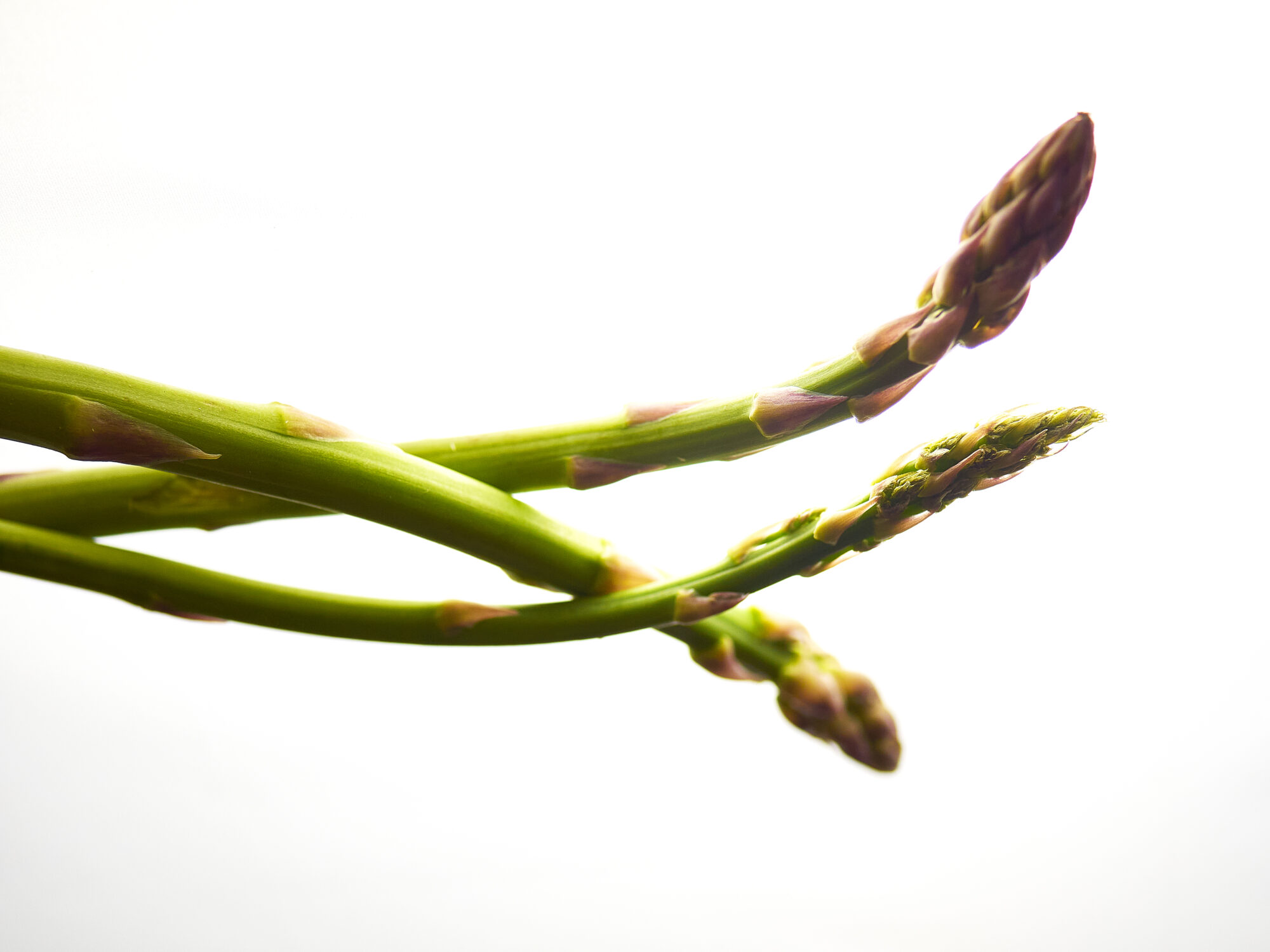Photographie d'art culinaire - Série Light Asparagus