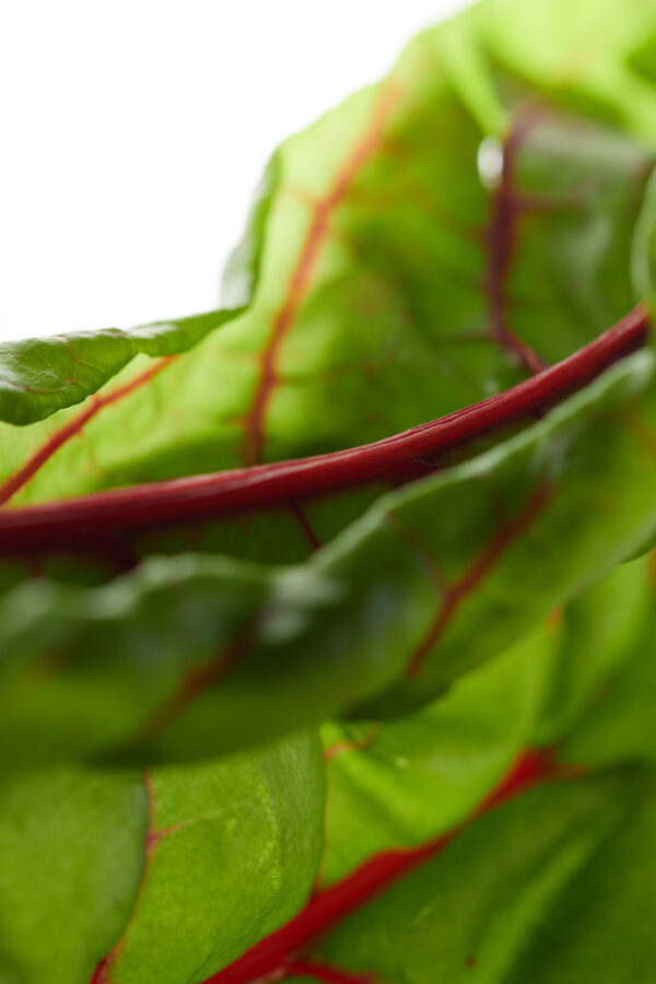 Photographie d'art culinaire - Série Light oseille rouge