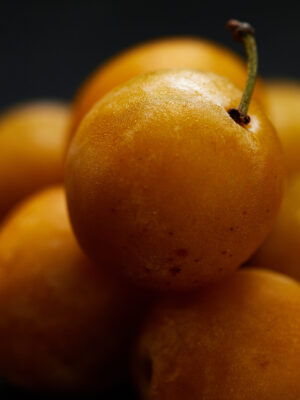 Photographie d'art culinaire - Série Sexy fruits - Mirabelles