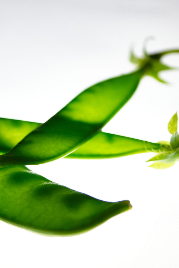 Photographie d'art culinaire - Série Light Asparagus