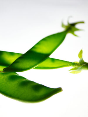 Photographie d'art culinaire - Série Light Asparagus